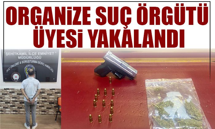 Organize suç örgütü üyesi yakalandı