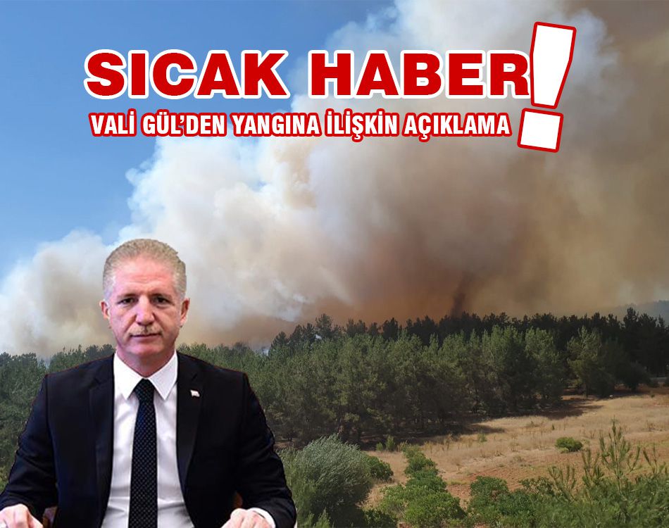 VALİ GÜL'DEN YANGIN AÇIKLAMASI