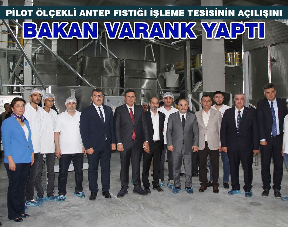 ANTEP FISTIĞI İŞLEME TESİSİNİN AÇILIŞINI BAKAN VARANK YAPTI