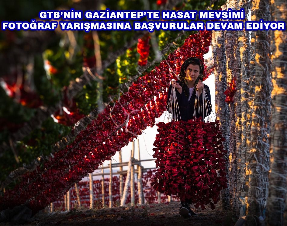 HASAT MEVSİMİNİN EN GÜZEL KARELERİ ARANIYOR