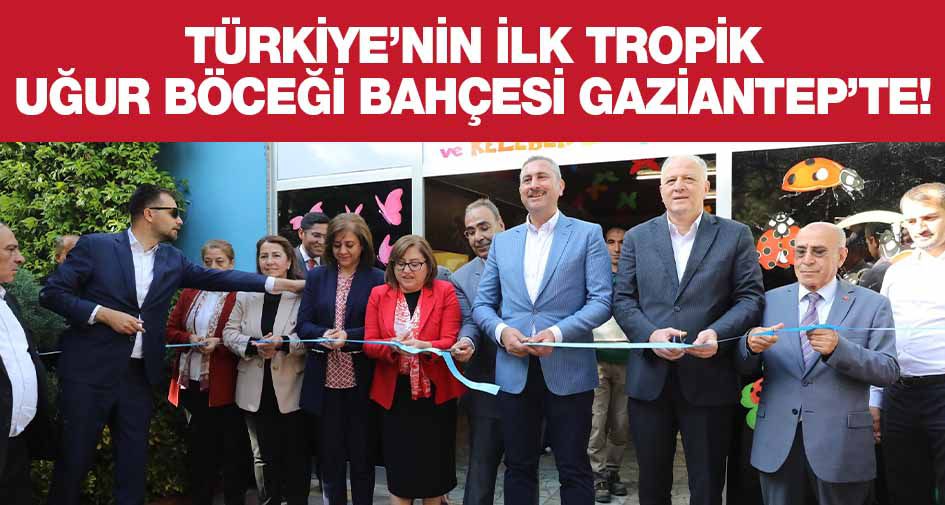 TÜRKİYE’NİN İLK TROPİK UĞUR BÖCEĞİ BAHÇESİ GAZİANTEP’TE!