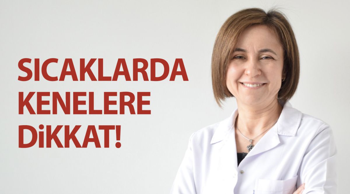 Sıcaklarda kenelere dikkat!