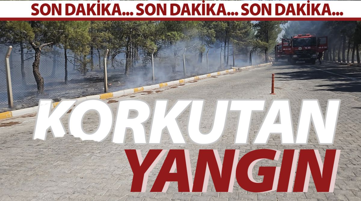 Korkutan yangın