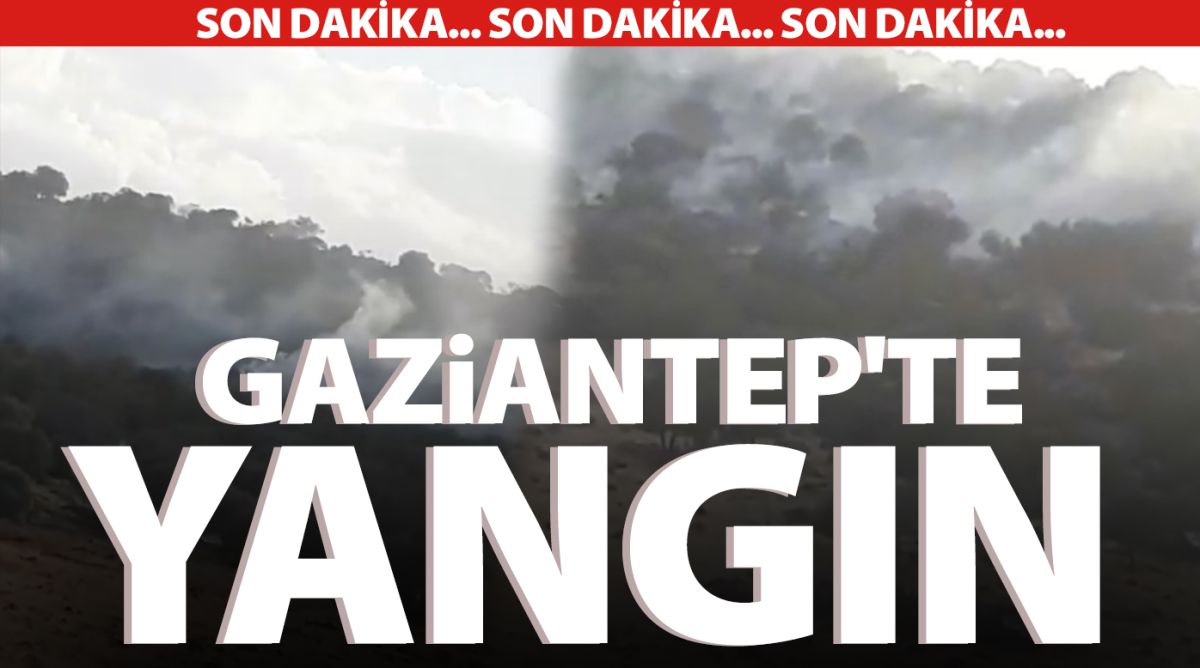 Gaziantep'te yangın