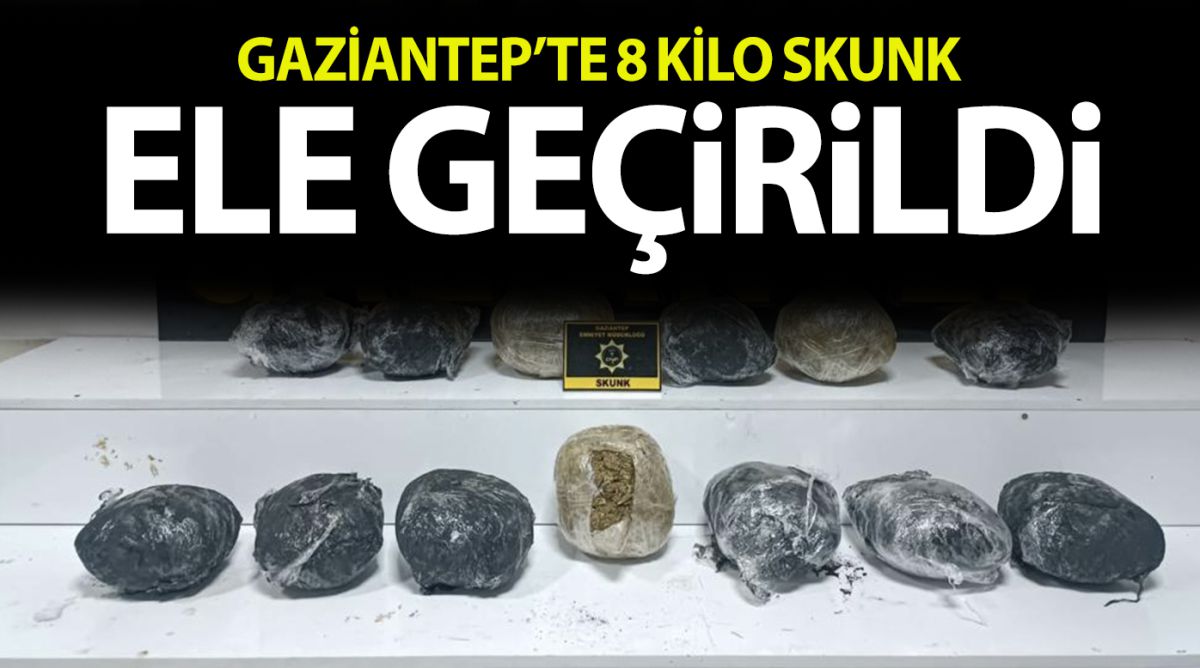 Gaziantep’te 8 kilo skunk ele geçirildi