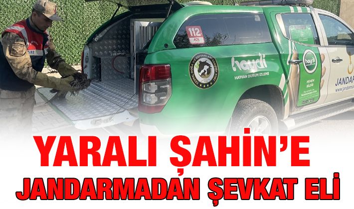 YARALI ŞAHİN’E JANDARMADAN ŞEVKAT ELİ