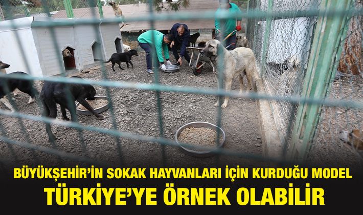 GAZİANTEP BÜYÜKŞEHİR’İN SOKAK HAYVANLARI İÇİN KURDUĞU MODEL TÜRKİYE’YE ÖRNEK OLABİLİR