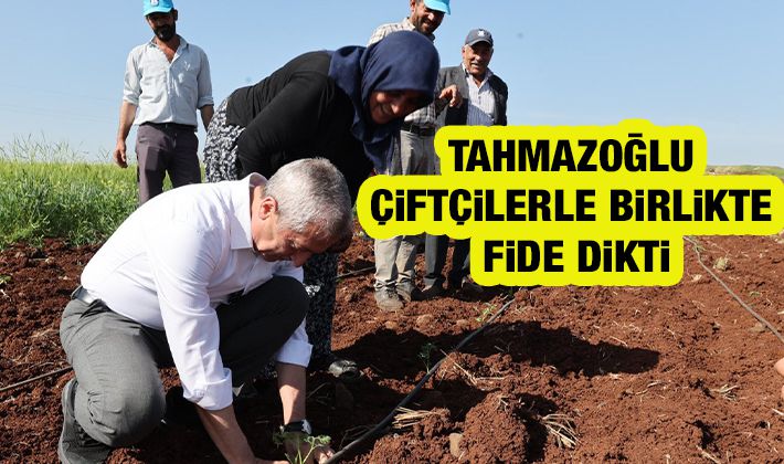 BAŞKAN TAHMAZOĞLU ÇİFTÇİLERLE BİRLİKTE FİDE DİKTİ