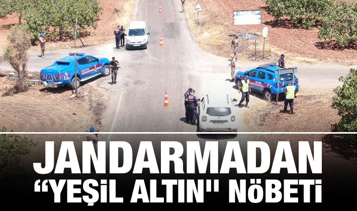 JANDARMADAN “YEŞİL ALTIN” NÖBETİ