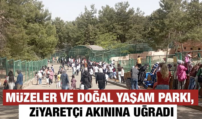 Müzeler ve Doğal yaşam parkı, ziyaretçi akınına uğradı