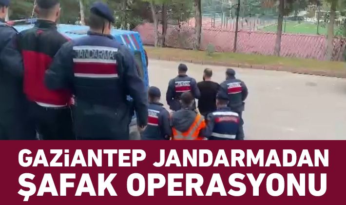 Gaziantep jandarmadan şafak operasyonu 