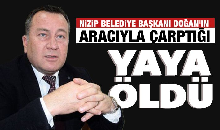 Belediye başkanının çarptığı yaya öldü