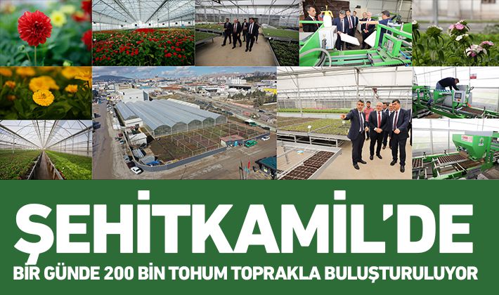 ŞEHİTKAMİL’DE BİR GÜNDE 200 BİN TOHUM TOPRAKLA BULUŞTURULUYOR