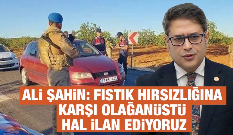 Ali Şahin: Fıstık Hırsızlığına Karşı Olağanüstü Hal İlan Ediyoruz