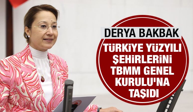 BAKBAK, TÜRKİYE YÜZYILI ŞEHİRLERİNİ TBMM GENEL KURULU’NA TAŞIDI