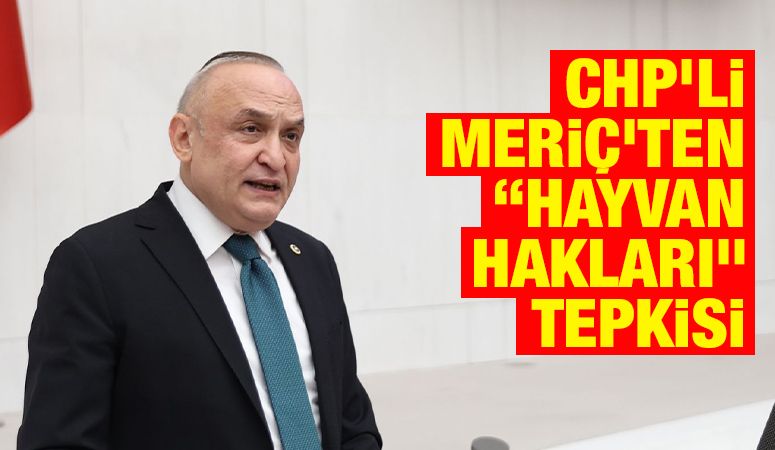 CHP’li Meriç’ten “Hayvan Hakları” Tepkisi