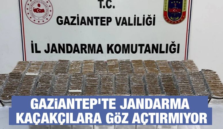 Gaziantep’te jandarma kaçakçılara göz açtırmıyor