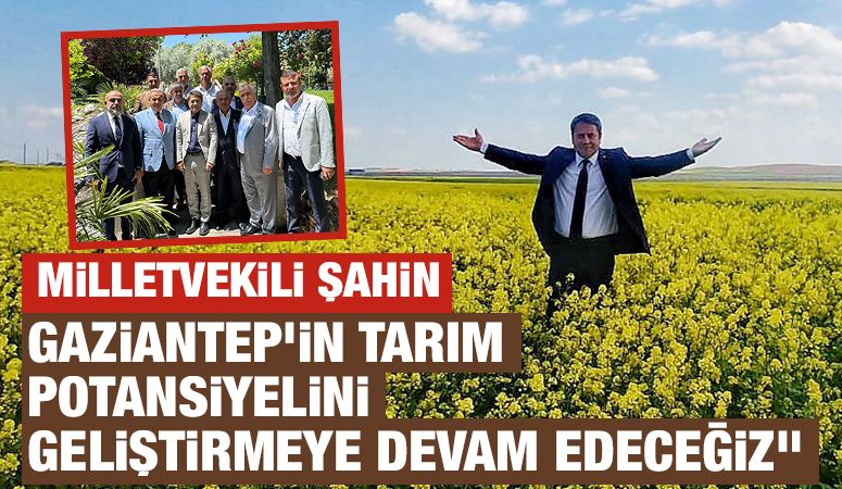 Milletvekili Şahin: 