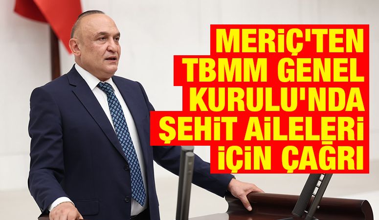 Meriç’ten TBMM Genel Kurulu’nda şehit aileleri için çağrı