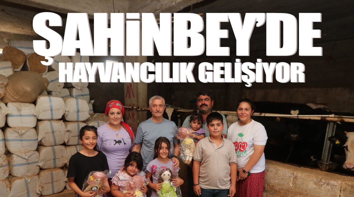 ŞAHİNBEY’DE HAYVANCILIK GELİŞİYOR