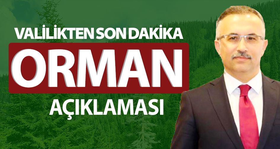 VALİLİKTEN SON DAKİKA ORMAN AÇIKLAMASI