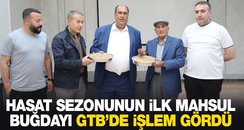 HASAT SEZONUNUN İLK MAHSUL BUĞDAYI GTB’DE İŞLEM GÖRDÜ