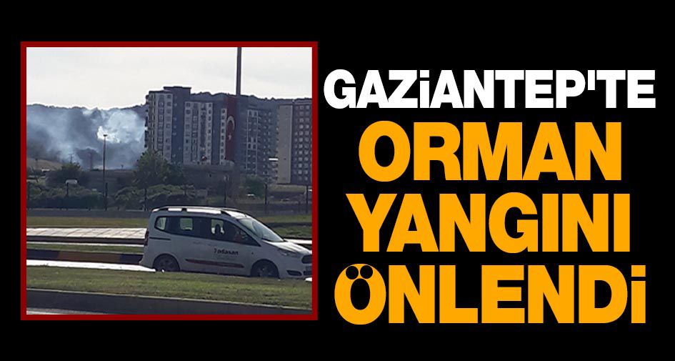 GAZİANTEP'TE ORMAN YANGINI ÖNLENDİ