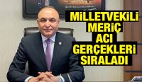Milletvekili Meriç Acı Gerçekleri Sıraladı