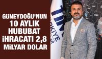 Güneydoğu’nun 10 aylık hububat ihracatı 2,8 milyar dolar