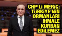 CHP’li Meriç: Türkiye’nin ormanları ihmale kurban edilemez