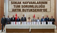 SOKAK HAYVANLARININ TÜM SORUMLULUĞU ARTIK BÜYÜKŞEHİR’DE