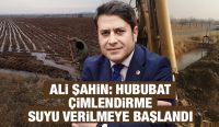 Ali Şahin: Hububat Çimlendirme Suyu Verilmeye Başlandı