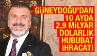 Güneydoğu’dan 10 ayda 2,9 milyar dolarlık hububat ihracatı  