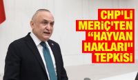 CHP’li Meriç’ten “Hayvan Hakları” Tepkisi