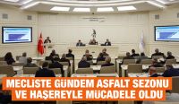 MECLİSTE GÜNDEM ASFALT SEZONU VE HAŞEREYLE MÜCADELE OLDU