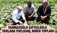 TAHMAZOĞLU ÇİFTÇİLERLE TARLADA PATLICAN, BİBER TOPLADI