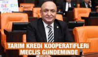 Tarım Kredi Kooperatifleri Meclis gündeminde
