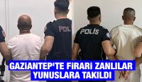 Gaziantep’te Firari Zanlılar Yunuslara Takıldı