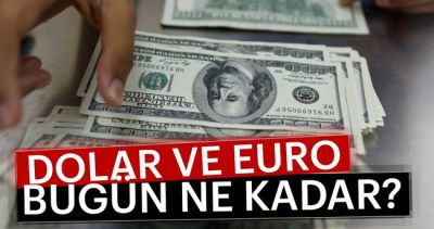 19 Mayıs Dolar ve Euro'da son durum