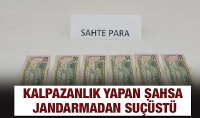 KALPAZANLIK YAPAN ŞAHSA JANDARMADAN SUÇÜSTÜ