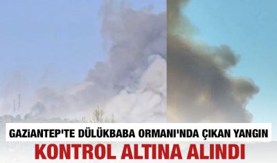 Gaziantep'te Dülükbaba Ormanı'nda çıkan yangın kontrol altına alındı