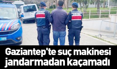 Gaziantep'te suç makinesi jandarmadan kaçamadı