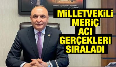Milletvekili Meriç Acı Gerçekleri Sıraladı