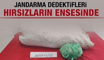 JANDARMA DEDEKTİFLERİ HIRSIZLARIN ENSESİNDE