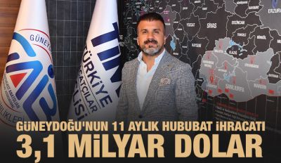 Güneydoğu’nun 11 aylık hububat ihracatı 3,1 milyar dolar