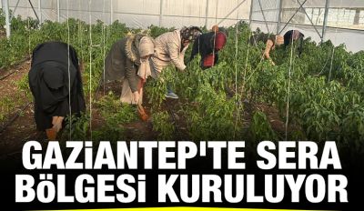 Gaziantep'te sera bölgesi kuruluyor