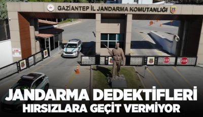 JANDARMA DEDEKTİFLERİ HIRSIZLARA GEÇİT VERMİYOR