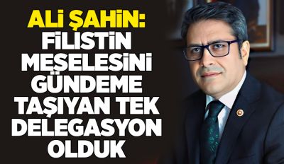 Ali Şahin: Filistin Meselesini Gündeme Taşıyan Tek Delegasyon Olduk