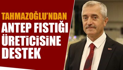 Tahmazoğlu’ndan Antep fıstığı üreticisine destek