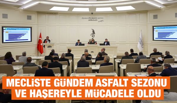 MECLİSTE GÜNDEM ASFALT SEZONU VE HAŞEREYLE MÜCADELE OLDU